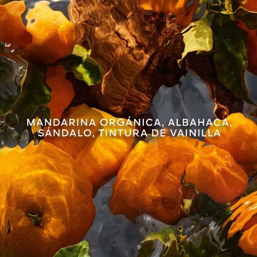 AQUA ALLEGORIA FORTE MANDARINE BASILIC - EAU DE PARFUM SET